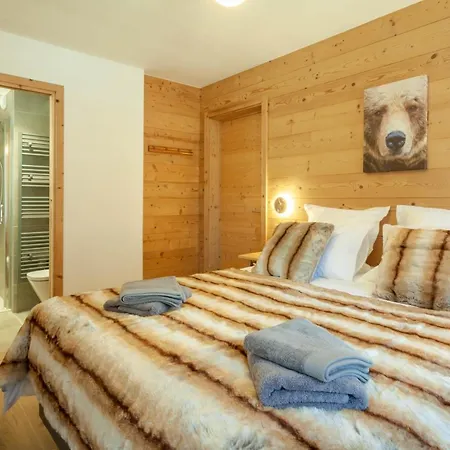 Echo Du Pleney B102 * Morzine